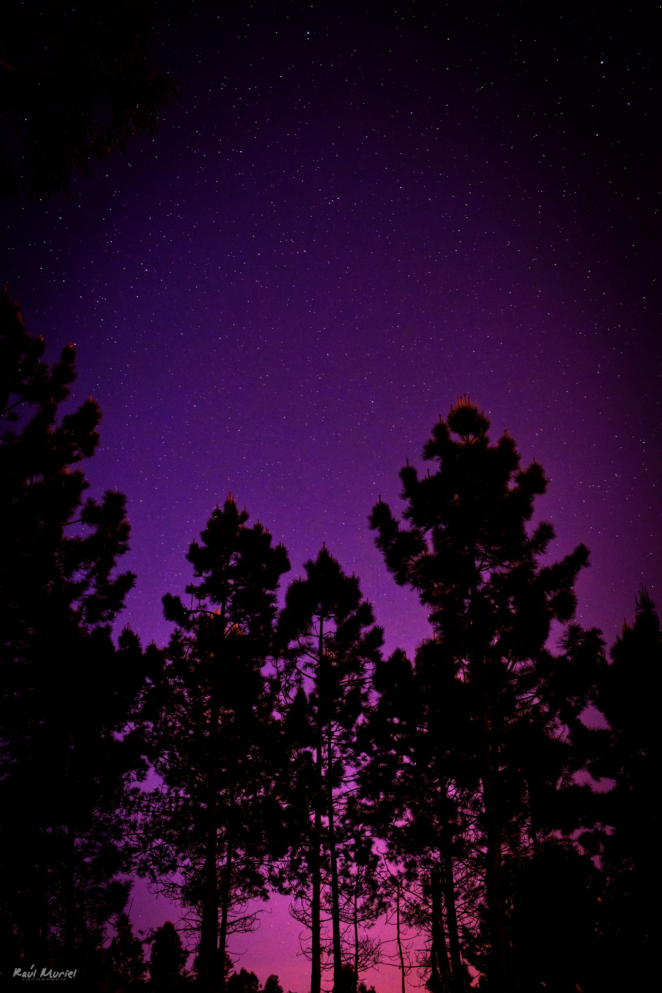 En busca de las luces